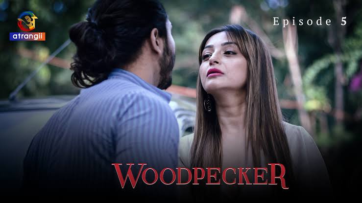 Woodpecker Episode 5
