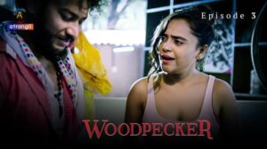 Woodpecker Episode 3
